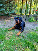 Foto pengguna bercix9797