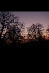 Zdjęcie użytkownika on72