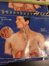 Zdjęcie użytkownika domantsw83