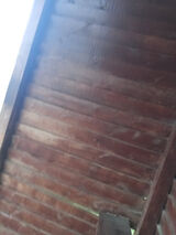 Zdjęcie użytkownika polska27