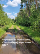 Zdjęcie użytkownika laart31