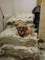 Zdjęcie użytkownika dominik1327