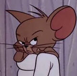 Zdjęcie użytkownika Adsk