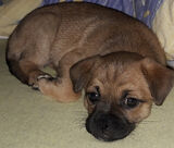 Benutzerfoto lukaszbaran35