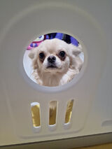 Zdjęcie użytkownika wystrzelony89