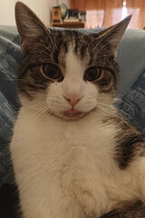 Foto pengguna mburniewicz2