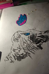 Zdjęcie użytkownika darekmarek1987