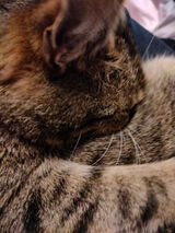 Foto pengguna SuperPitek