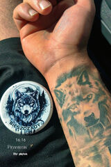 Zdjęcie użytkownika Mentosiik