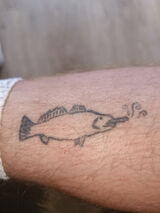 Foto pengguna cnnfsh