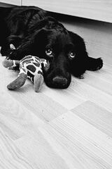 Foto pengguna tomaszsieko