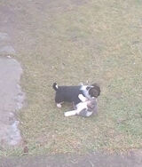 Benutzerfoto nekro23