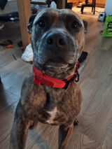 Zdjęcie użytkownika Wiktor9905