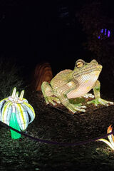 Zdjęcie użytkownika zzzzzzJ