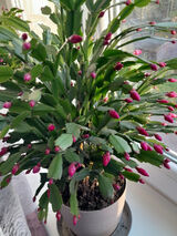 Zdjęcie użytkownika Beti6262