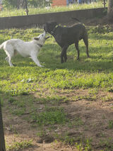 Zdjęcie użytkownika jatoja10