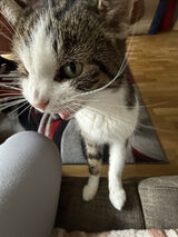 Benutzerfoto w1ktor1aa