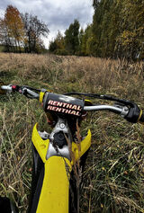 Zdjęcie użytkownika dawidkuki