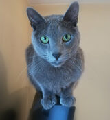 Foto pengguna abrms8891