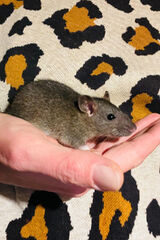 Benutzerfoto adambyk80