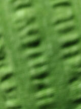 Zdjęcie użytkownika xhksjsns12