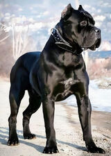 Zdjęcie użytkownika Adokaaa