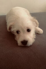 Zdjęcie użytkownika krawczykprzemysl48