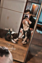 Zdjęcie użytkownika Dominoss