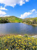 Zdjęcie użytkownika boukhilislim01