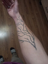 Zdjęcie użytkownika patrikoss710