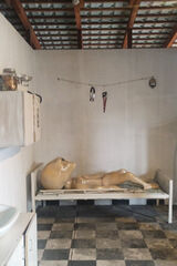 Benutzerfoto kapustakiszona