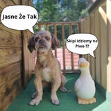 Zdjęcie użytkownika MarcinPnewuX