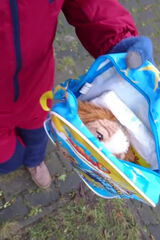 Benutzerfoto KajtekWitkowski