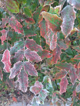 Zdjęcie użytkownika PaniX