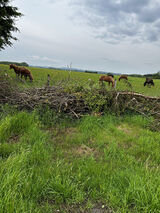 Zdjęcie użytkownika Goodboy5860