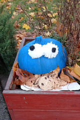 Benutzerfoto DavidGda