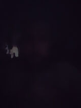 Zdjęcie użytkownika oskioski9