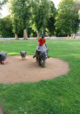 Benutzerfoto mrocznypegazus