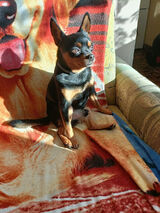 Benutzerfoto danielkoziel79