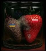 Zdjęcie użytkownika Adamooo123456789