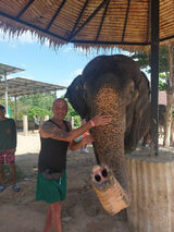 Zdjęcie użytkownika kafelk86