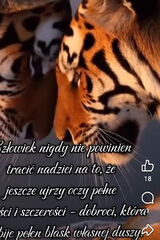 Benutzerfoto Mona1907