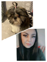 Benutzerfoto OsobniczyPoglad