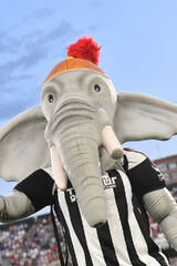 Photos santiagosh200