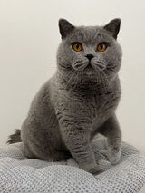 Zdjęcie użytkownika Karoliana2404