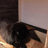 Zdjęcie użytkownika jerry6669