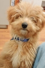 Benutzerfoto Menti38