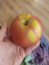 Zdjęcie użytkownika NiekompatybilnaJa