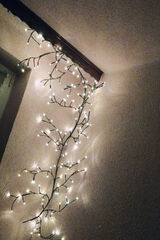 Benutzerfoto BratVergila89