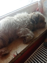 Benutzerfoto Biskupiec